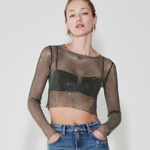 Zara Shimmer Mesh Crop Top